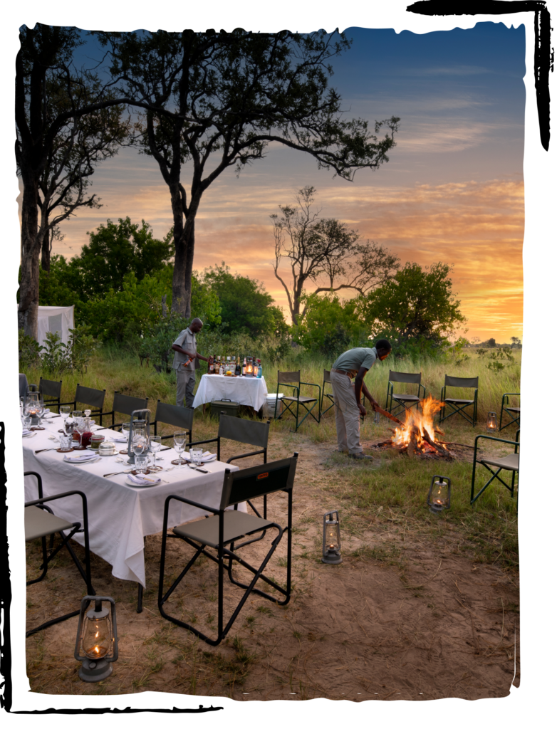 Botswana, The Celebration, See you in the Moment, Black Tomato, Luxury Group Travel